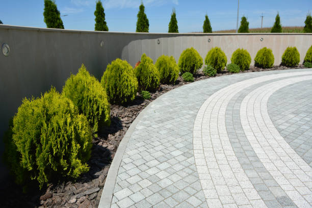 Best Best Driveway Pavers  in Winona, MN